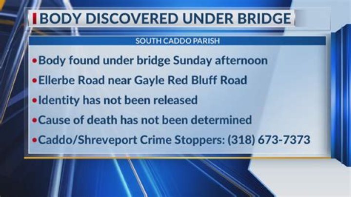 Breaking News: Body Found Under Bridge: Update