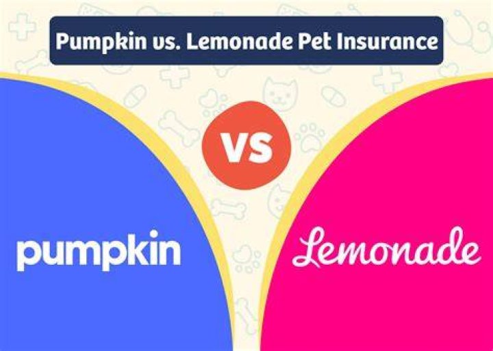 Pumpkin vs Lemonade: Which Pet Insurance Is Right For You?