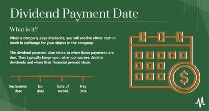 Ultimate Guide to DX Corporation's Dividend Payment Date